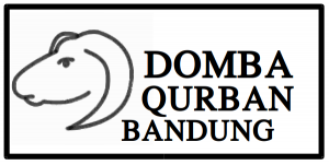 Domba Qurban Bandung